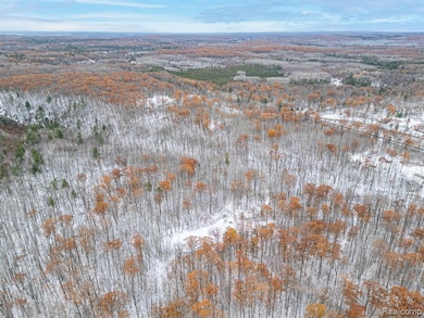 00 N Fairview Rd, Klacking Township, MI 48661 - photo 7