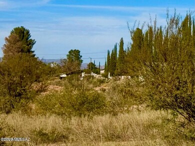 TBD International Ave 4 24 Acres, Douglas, AZ 85607 - photo 7