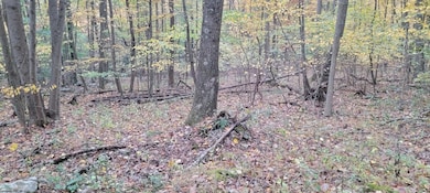 TBD Pine Ridge Rd, Morgantown, WV 26508 - photo 4