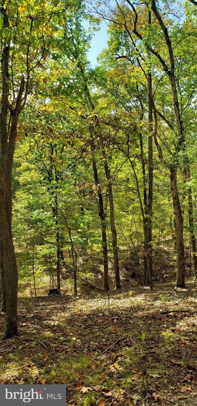 0 Route unit WVMO2001156, Berkeley Springs, WV 25411 - photo 4