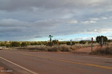 DSC_0358 (800x533)