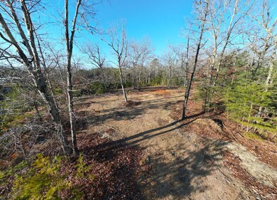 0 Beasley Rd, Lynchburg, VA 24501 - photo 4