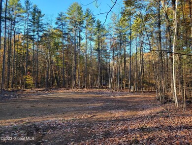 L6 Mountain Path, Johnsburg, NY 12853 - photo 6