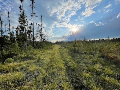 XXX Traven Rd, Mud Hen Lake, MN 55734 - photo 5