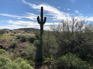 RE - Schmdit Cactus Pic