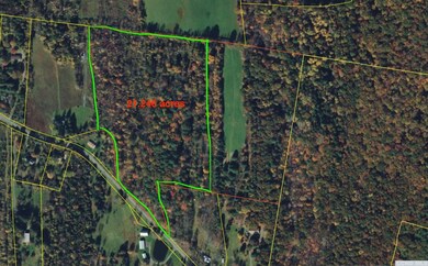 131 Benton Rd, Gallatin, NY 12502 - photo 3