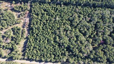 TBD Farm To Market 1004, Call, TX 75933 - photo 6