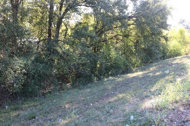 TBD E Webster St, Jefferson, TX 75657 - photo 7