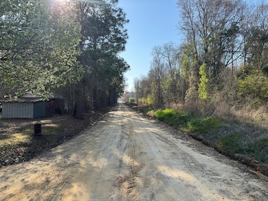 177 Merritt Rd, Sylvester, GA 31791 - photo 3