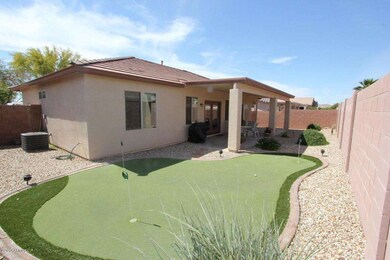Back yard putting green