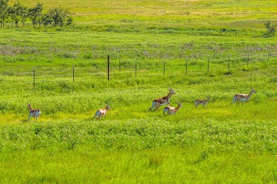 449 Luke Hayes Way unit 4, Fredericksburg, TX 78624 - photo 2