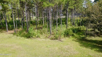 2423A E Lincoln Rd SE, Brookhaven, MS 39601 - photo 4