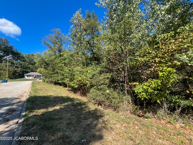 927 Harding St, Jefferson City, MO 65101 - photo 5