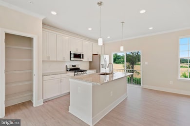 7859 Bluelick Run Rd, Baltimore, MD 21244 - photo 4