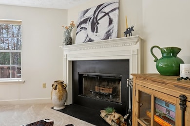 4542 Clear Creek Rd, Ellijay, GA 30536 - photo 7