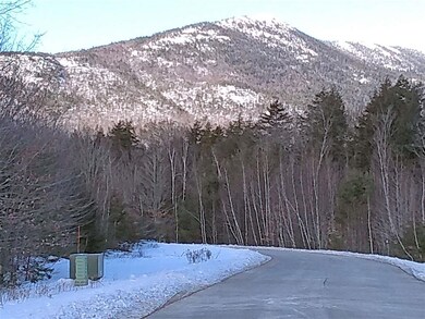 Lot 106 Grandview Rd unit 106, Conway, NH 03818 - photo 7