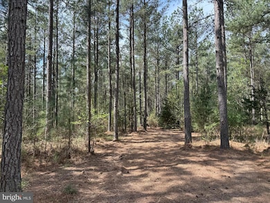 TBD 1 Covered Bridge Rd, Kents Store, VA 23084 - photo 7