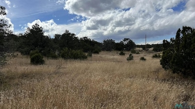 0 Mountain View unit 24140967, Pie Town, NM 87827 - photo 4