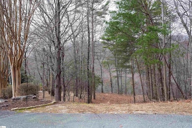 44 Mountain Oak Ln, Travelers Rest, SC 29690 - photo 3