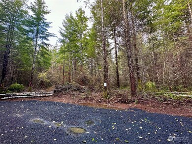 15 W Ford Rd unit Lot 3, Matlock, WA 98560 - photo 7