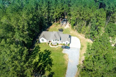 Drone View