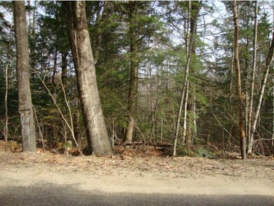 5-1-1 Hodgeman Hill Rd, Campton, NH 03223 - photo 3