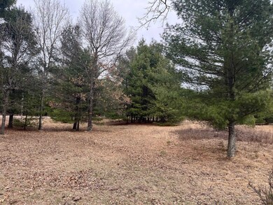 889 Elk Ave, Adams, WI 53910 - photo 2