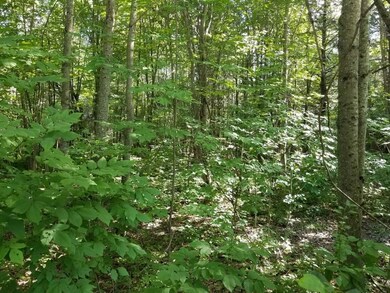 20200817_150201_resized_2