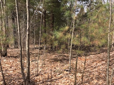 305 Middleton Rd, Milton, NH 03851 - photo 5