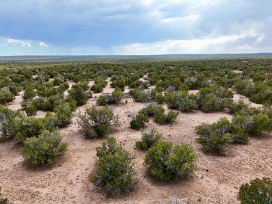 Tbd N7112, Saint Johns, AZ 85936 - photo 7