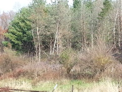 16166 18 B Rd, Culver, IN 46511 - photo 4