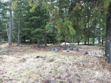 18 Carly Ln, Big Fork, MT 59911 - photo 6