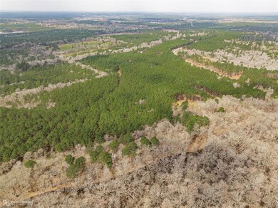 0 Louisiana 157 unit 20232463, Benton, LA 71006 - photo 5