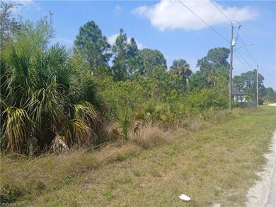 2605 Hanna Ave N, Lehigh Acres, FL 33971 - photo 5