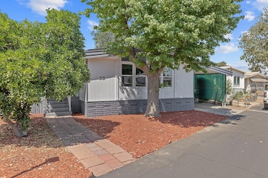 3-web-or-mls-713A4896