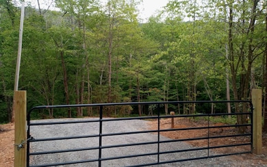 Additional View