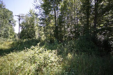 DSC06370