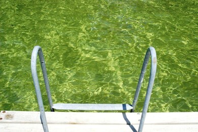 Crystal Clear Water