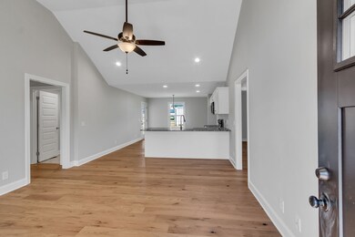 509 Rose Ln, Shelbyville, TN 37160 - photo 5