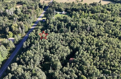 TBD85 Sidnaw Rd S, Sidnaw, MI 49961 - photo 3