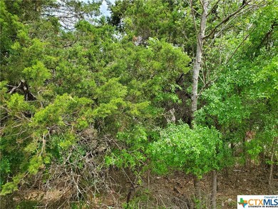 13172 Harbor Dr, Temple, TX 76502 - photo 5