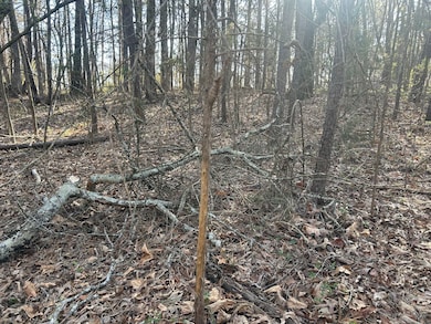 0 County Road 135 unit 25498670, Stevenson, AL 35772 - photo 4