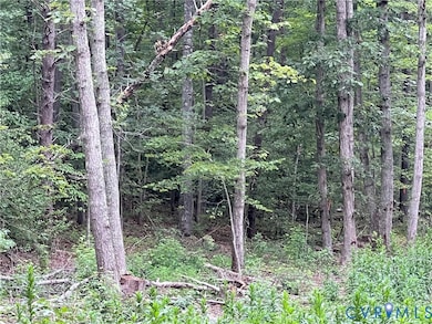 2852 Nelsons Bridge Rd, Hanover, VA 23069 - photo 2