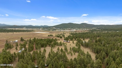 5-web-or-mls-DJI_20250918140758_0998_D