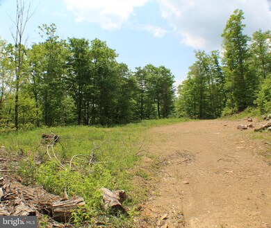 81.53 AC Dolly Sods-Forest Service Rd 19, Cabins, WV 26855 - photo 3