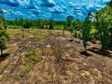 Expose Rd unit LotWP001, Columbia, MS 39429 - photo 5