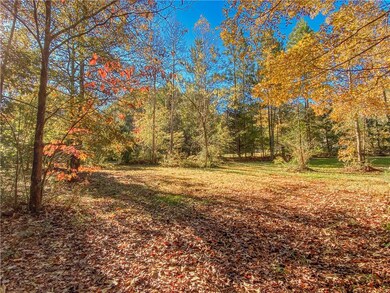 145 Warner Mill Rd, Walhalla, SC 29691 - photo 5