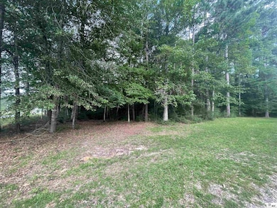 000 Easy St, Chatham, LA 71226 - photo 3