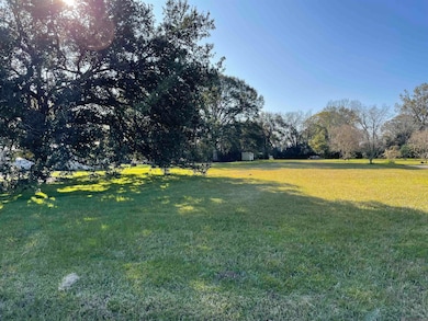 40437 D Black Bayou Extension, Gonzales, LA 70737 - photo 3