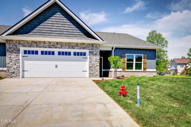 613 Bittersweet Trail, Jonesborough, TN 37659 - photo 4